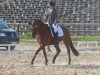 broodmare Aida 183 (German Sport Horse, 2010, from Rio Tejo)