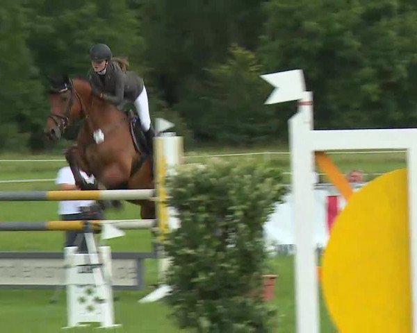 Rakoczy-Reitturnier Bad Kissingen 2021