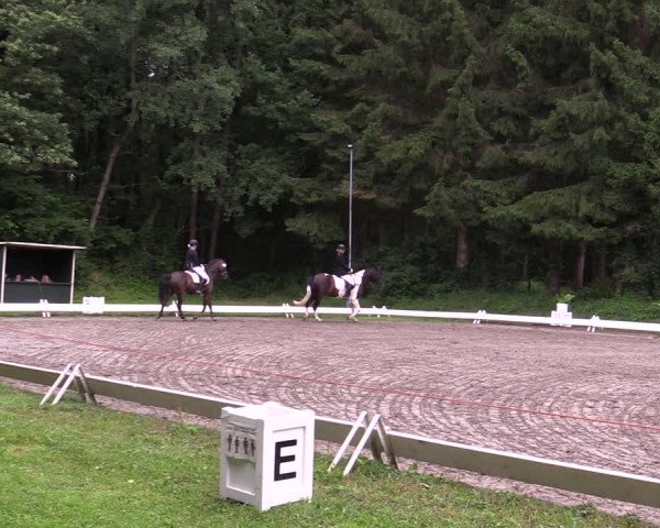Reitturnier Kellinghusen 2021