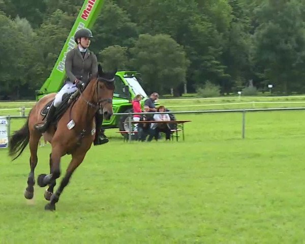 Rakoczy-Reitturnier Bad Kissingen 2021