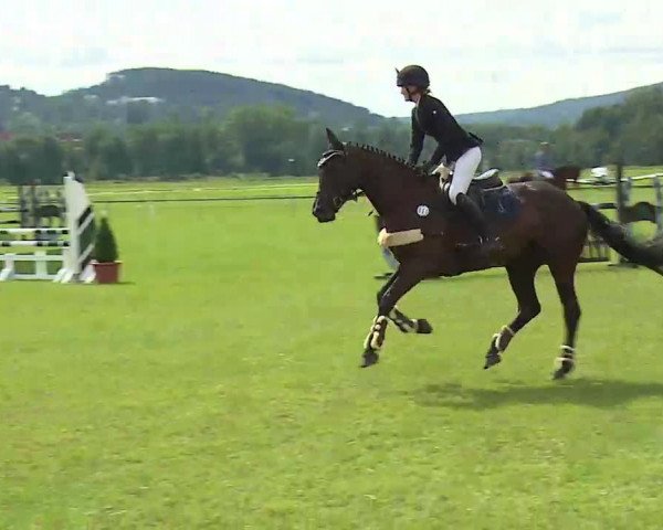 Rakoczy-Reitturnier Bad Kissingen 2021
