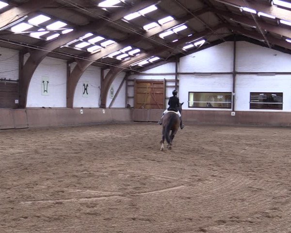 Reitturnier Kellinghusen 2021