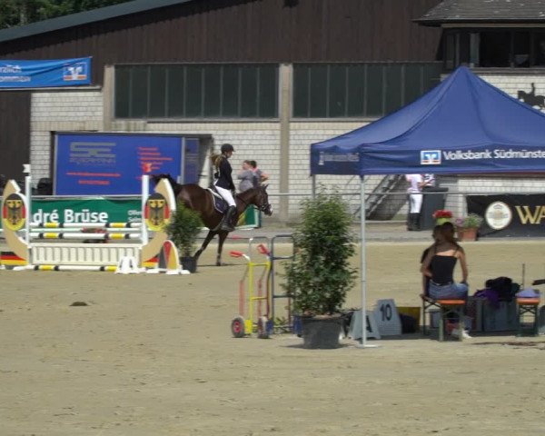 Pony- und Juniorenturnier Olfen 2021