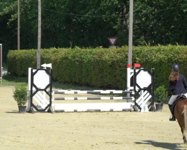 Pony- und Juniorenturnier Olfen 2021