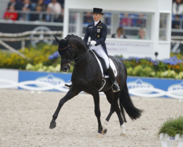 stallion Unee BB (KWPN (Royal Dutch Sporthorse), 2001, from Gribaldi)