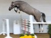 jumper Get on Top 3 (Hanoverian, 2012, from Grey Top)