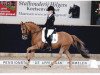 dressage horse Hoppenhof's James (New Forest Pony, 2006, from Woodrow Carisbrooke)