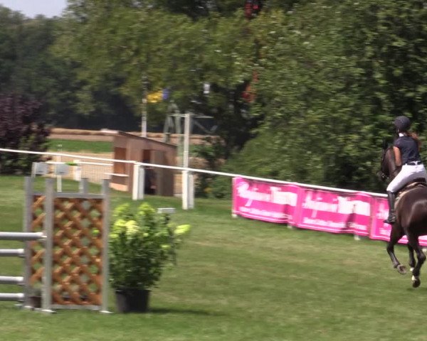 Großes Bautzener Reitturnier in Baschütz 2021