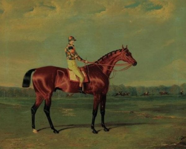 stallion Memnon xx (Thoroughbred, 1822, from Whisker xx)