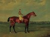 stallion Memnon xx (Thoroughbred, 1822, from Whisker xx)