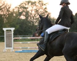 jumper Bloemkamp's Lotus (New Forest Pony, 2010, from Orchid's Floris)