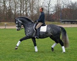 stallion Royal Dream (Oldenburg, 1999, from Royal Diamond)