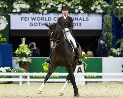 dressage horse Vian Stallone (KWPN (Royal Dutch Sporthorse), 1999, from Lancet 2)