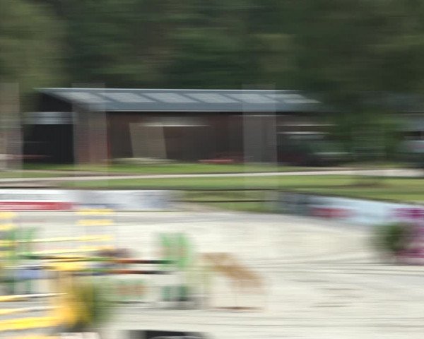 Reitturnier Westergellersen 2021