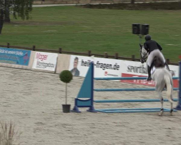 Reitturnier Westergellersen 2021