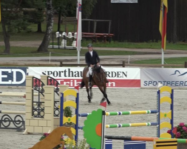 Reitturnier Westergellersen 2021