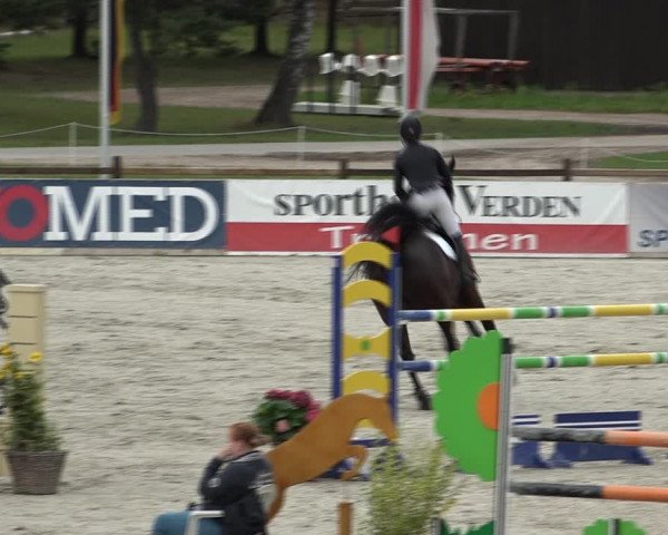Reitturnier Westergellersen 2021
