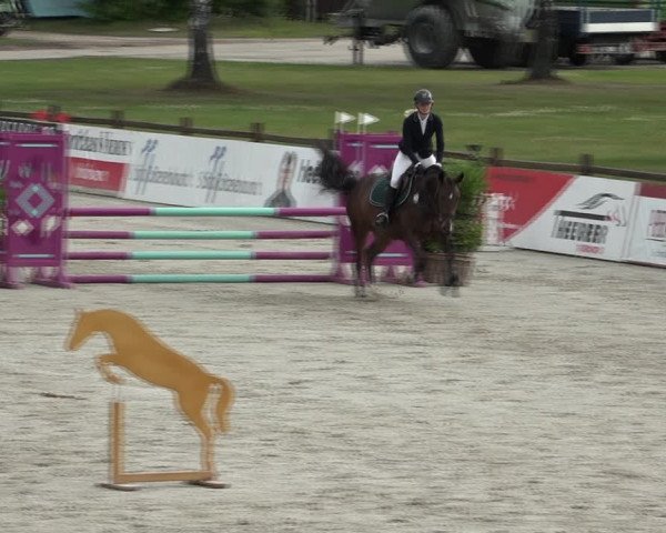 Reitturnier Westergellersen 2021