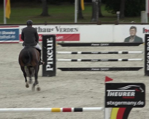 Reitturnier Westergellersen 2021