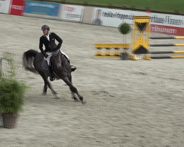 Reitturnier Westergellersen 2021