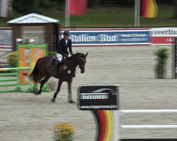 Reitturnier Westergellersen 2021