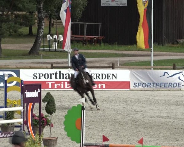 Reitturnier Westergellersen 2021
