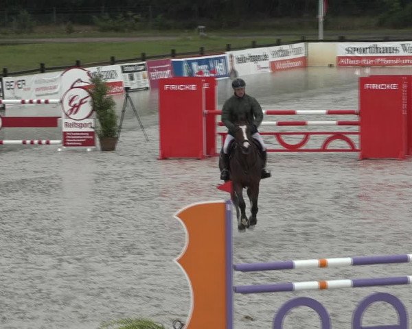Reitturnier Westergellersen 2021