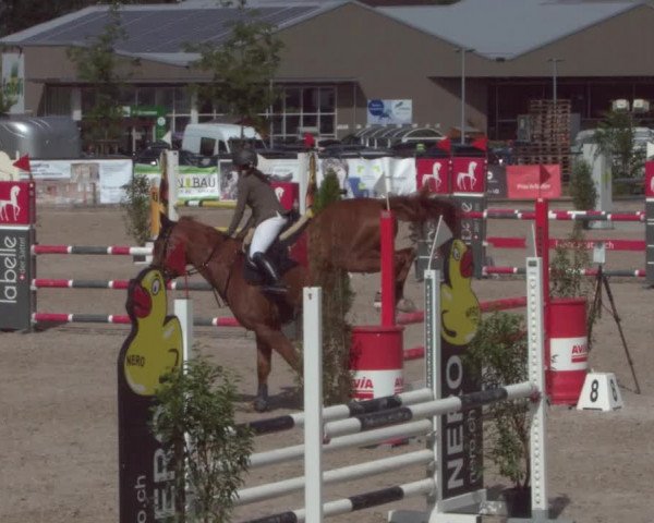 Reitturnier Gossau 2021