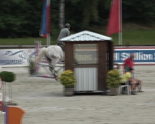 Reitturnier Westergellersen 2021
