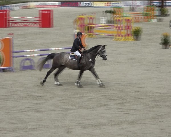 Reitturnier Westergellersen 2021