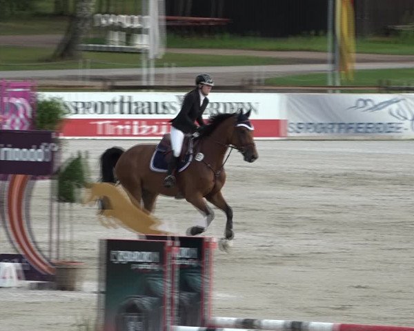 Reitturnier Westergellersen 2021