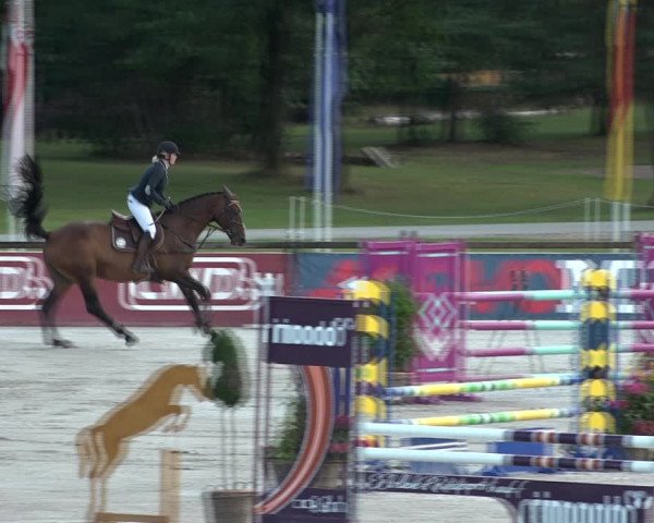 Reitturnier Westergellersen 2021