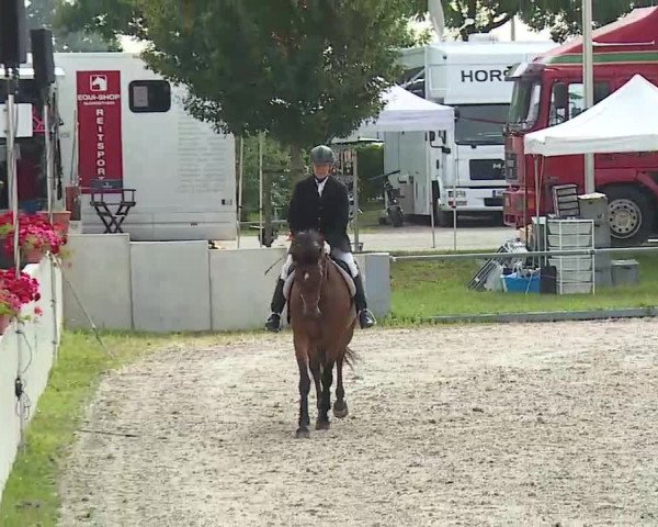 Maingau Classics in Grafenrheinfeld 2021