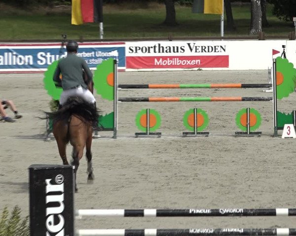 Reitturnier Westergellersen 2021