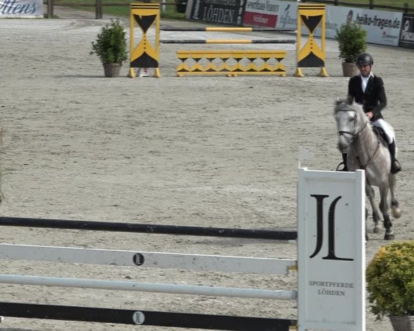 Reitturnier Westergellersen 2021