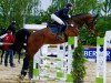 jumper Conte Corrado (Bavarian, 2000, from Country Cross)