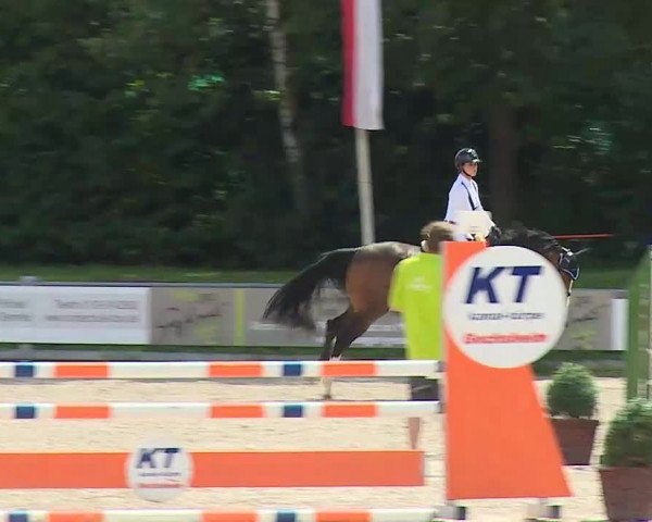 Maingau Classics in Grafenrheinfeld 2021