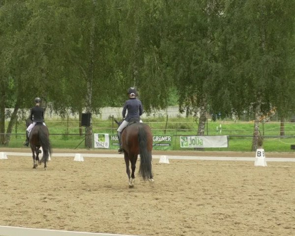Dressurturnier Königsbach 2021
