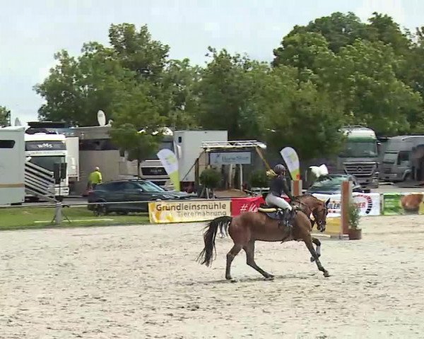 Maingau Classics in Grafenrheinfeld 2021