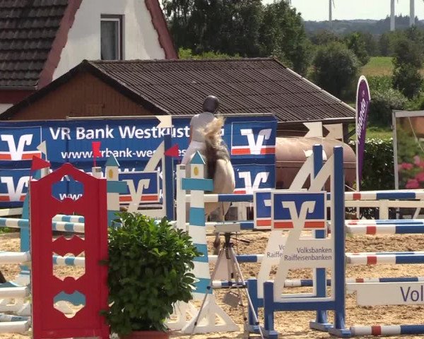 Behrendorfer Reitertage - Behrendorf 2021