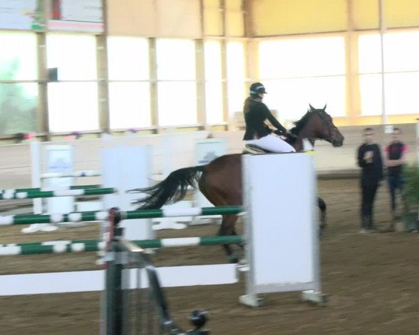 Reitturnier Biberach/Riß 2021