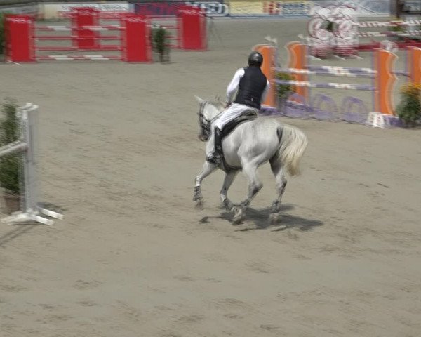 Reitturnier Westergellersen 2021