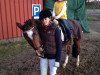 broodmare Naskana (German Riding Pony, 2002, from Navoy 2)