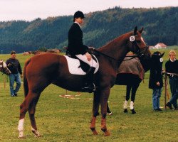 broodmare Utopie (Trakehner, 1989, from Bartholdy)