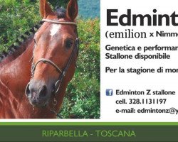 stallion Edminton Z (KWPN (Royal Dutch Sporthorse), 1993, from Emilion)