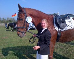 dressage horse Lucretino (Hanoverian, 2004, from Lancier)