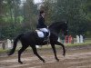 dressage horse Royal Harry (Bavarian, 2002, from Royal Diamond)