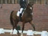 dressage horse Eicke II (Westphalian, 2005, from Ehrentusch)