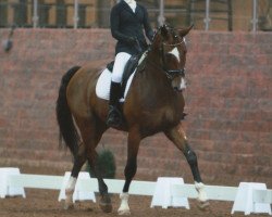 dressage horse Eicke II (Westphalian, 2005, from Ehrentusch)