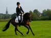 jumper Brummerhoeve's Atalanta (New Forest Pony, 2003, from Nieuwmoeds Patrick)